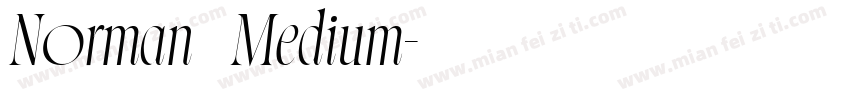 Norman   Medium字体转换